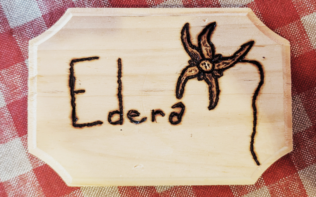 Dettaglio camera Edera